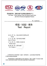 DFW-12/630-20检验报告